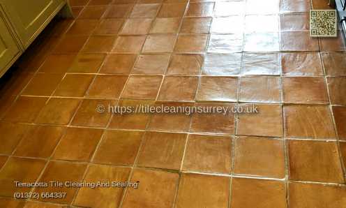 Picture showing the Terracotta tiles cleaning in Esher by cleaning work by Fabritec, Tile Cleaning Surrey