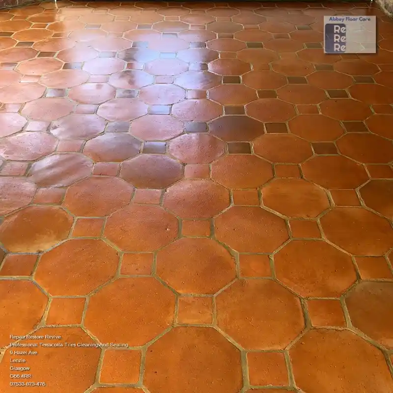 Terracotta Cleaning And Sealing by Repair Restore Revive Tile Cleaning
