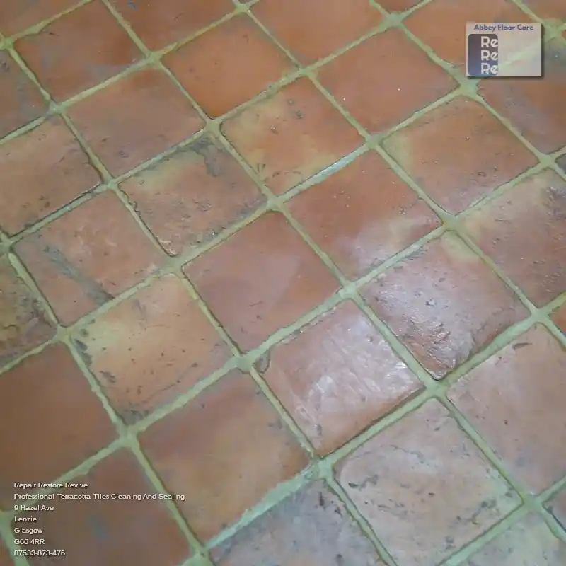 What Is The Average Cost Of Terracotta Cleaning And Sealing?