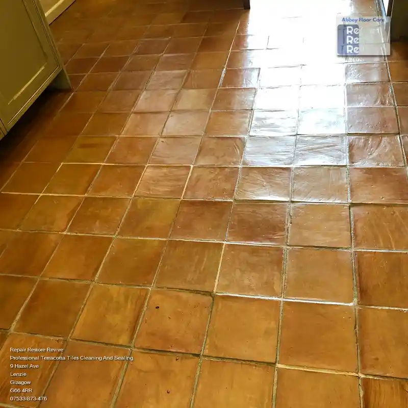 Cleaned And Sealed Terracotta