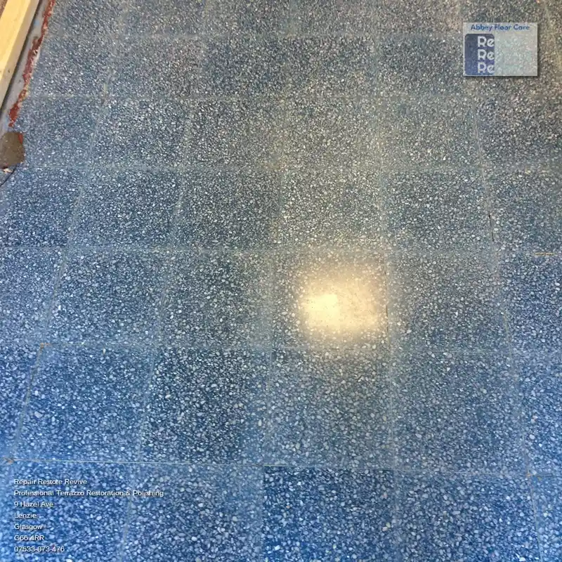 Terrazzo Restoration by Repair Restore Revive Tile Cleaning
