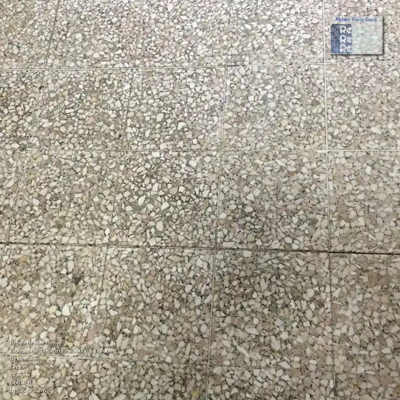 Revamp Your Uninspired Terrazzo Floor with a Fresh Look